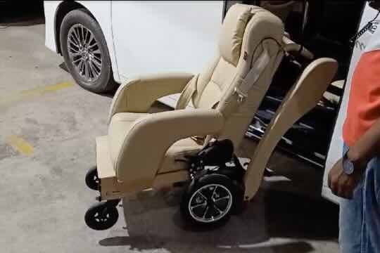 Swivel Platinum - Imported