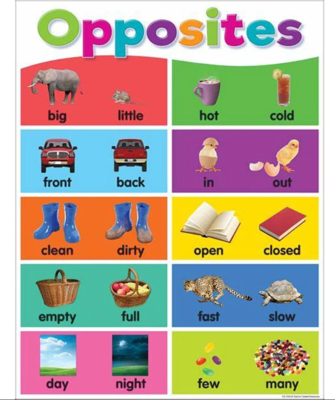 opposites chart