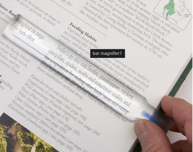 Torchit Bar Magnifier