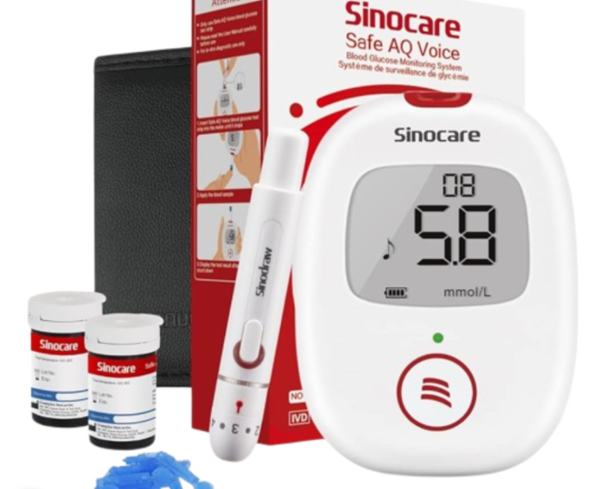 talking glucometer