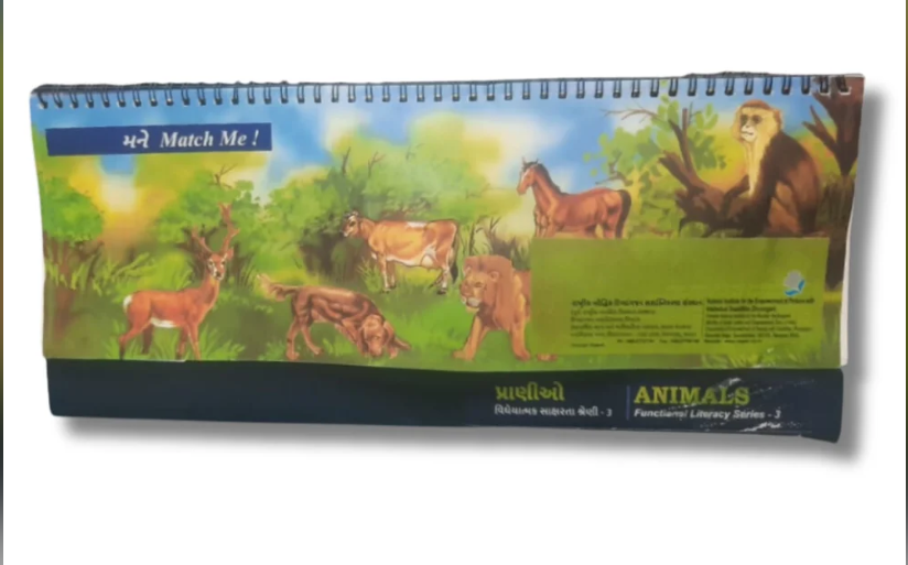 animal flip cards