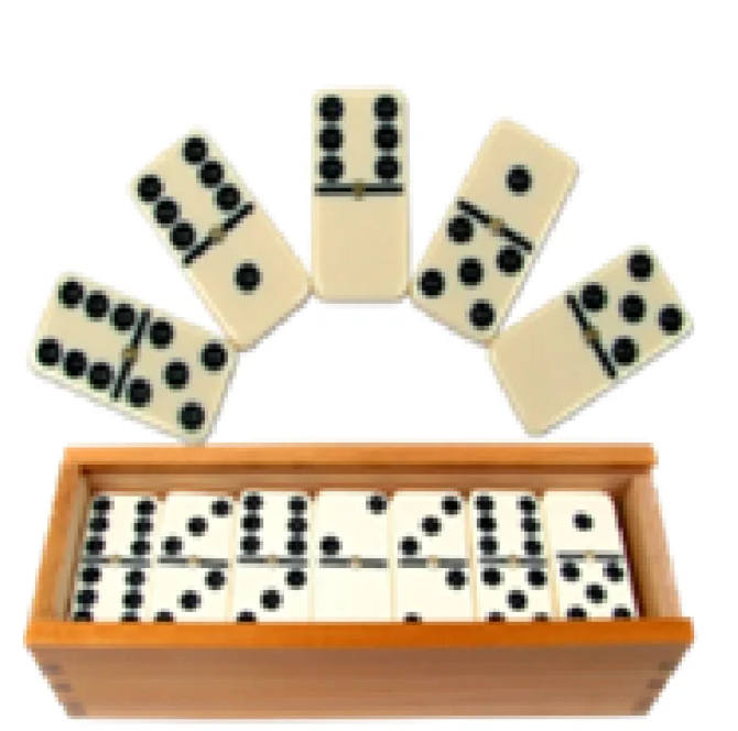 Winner BRAILLE DOMINOES TACTILE DOUBLE SIX, Number Of Players: 2, Compact